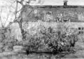 JAZ-1910-015, unsigned. Click to enlarge